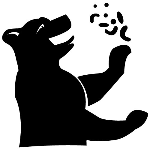 baer
