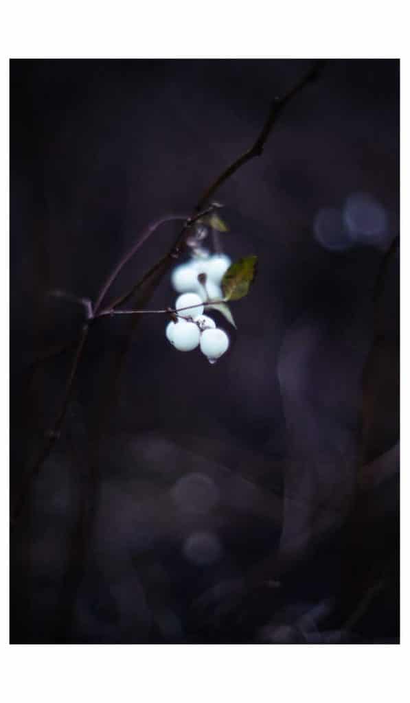 Porst 55mm f12 bearbeitet sehr klein