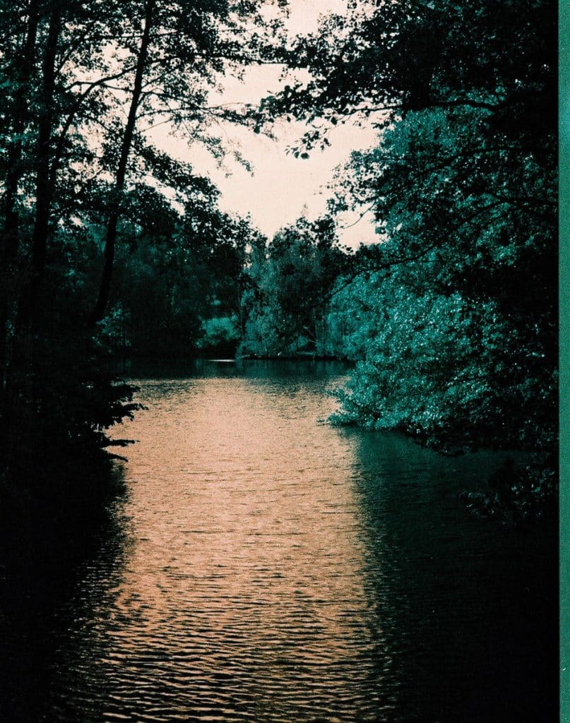 Ein Fluss zwischen Bäumen, etwas verfärbt.